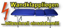 Wandklappliegen_blitzschnell-220[1]